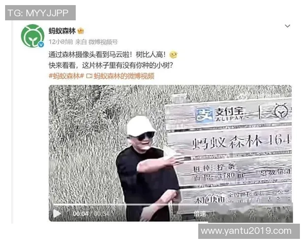 古代足球明星蚂蚁森林的传奇故事与现代环保理念的完美结合